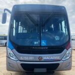 Ônibus atinge cavalo solto na Rodovia Amaral Peixoto, em Cabo Frio